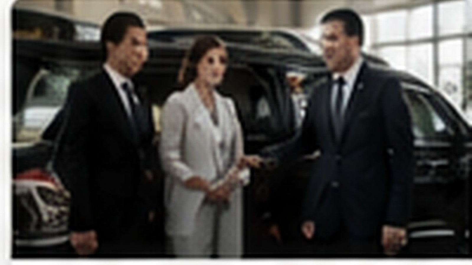 Executive delegation