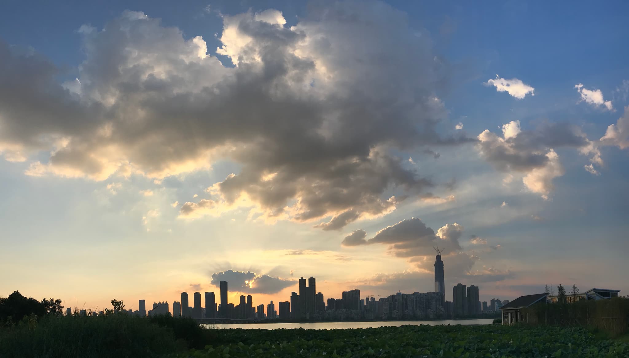 Wuhan Chauffeur Service